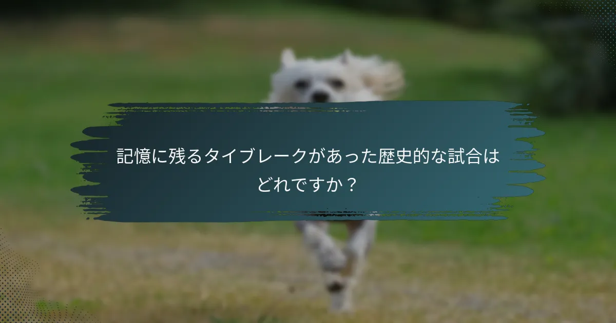 記憶に残るタイブレークがあった歴史的な試合はどれですか？