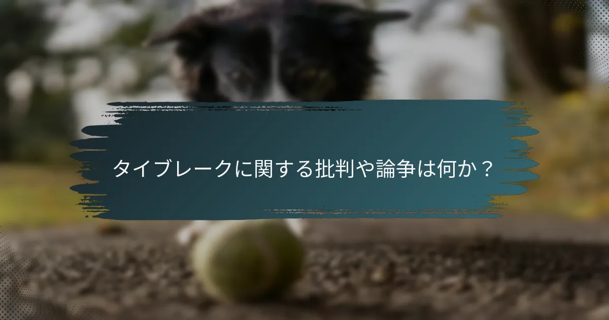 タイブレークに関する批判や論争は何か？
