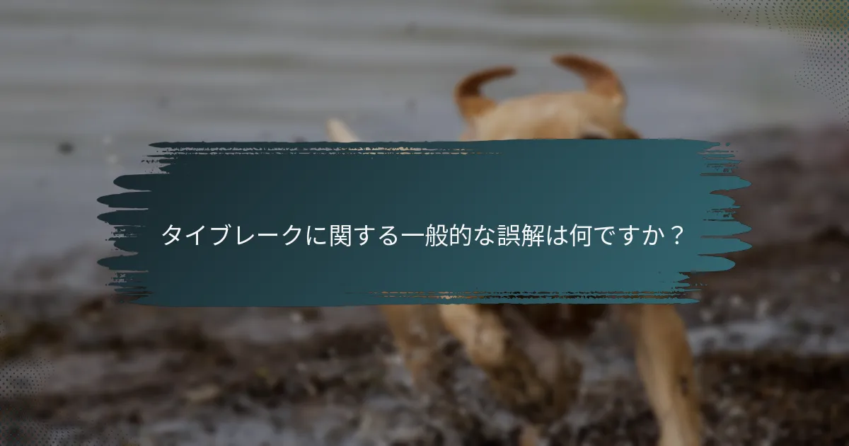 タイブレークに関する一般的な誤解は何ですか？