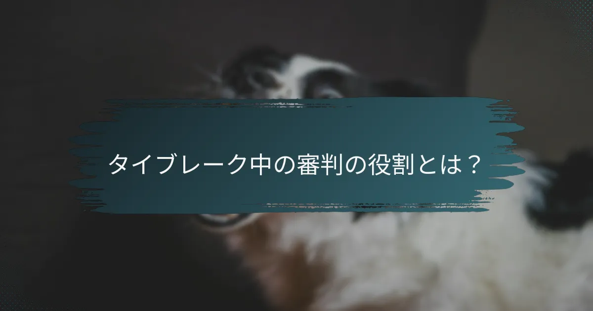 タイブレーク中の審判の役割とは？