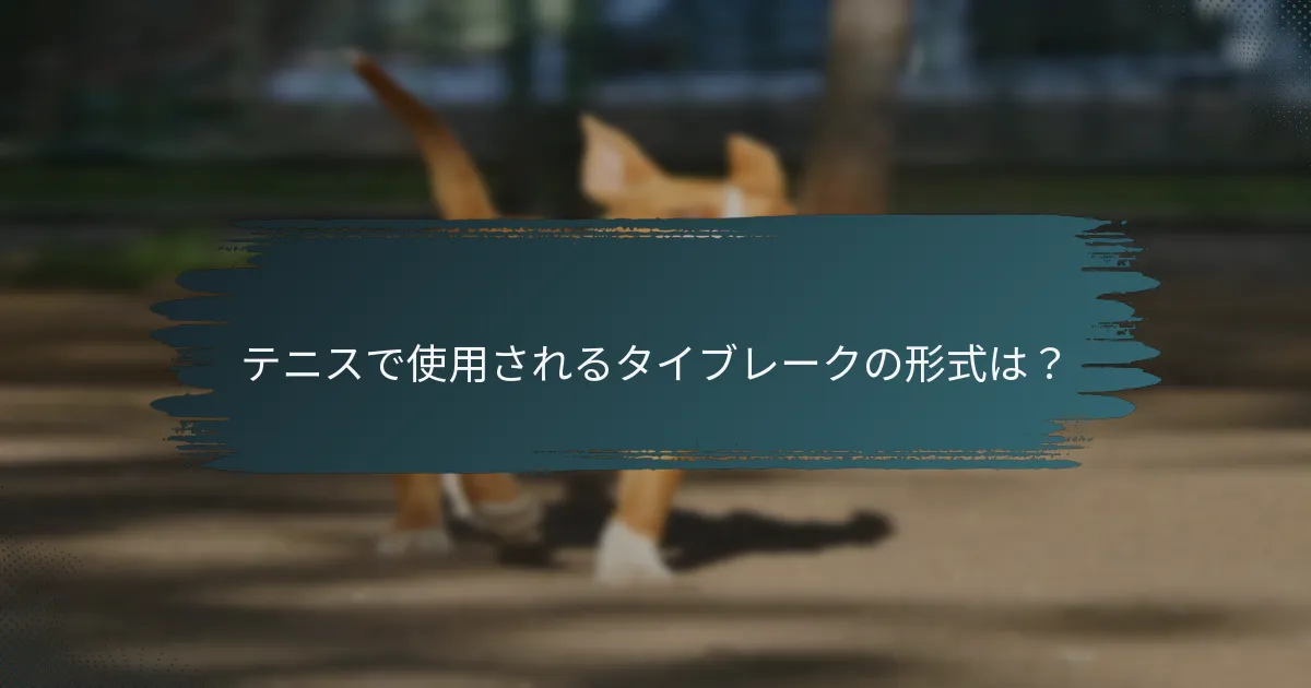 テニスで使用されるタイブレークの形式は？