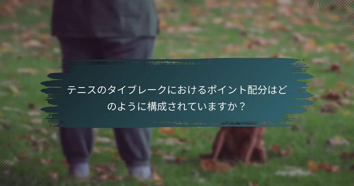 テニスのタイブレークにおけるポイント配分はどのように構成されていますか？
