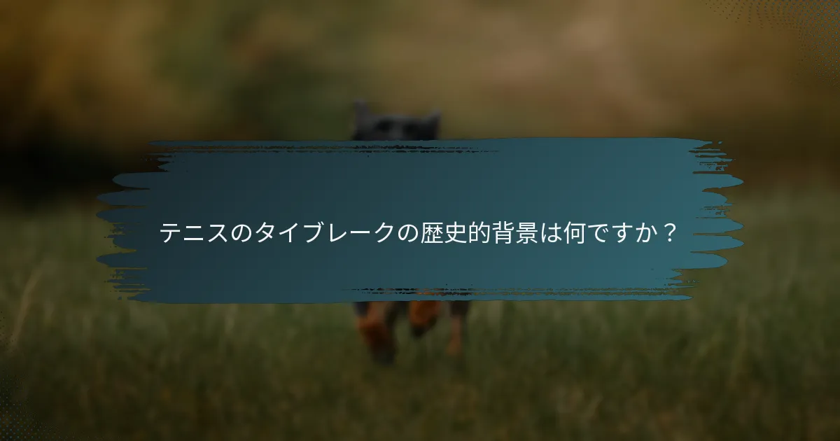 テニスのタイブレークの歴史的背景は何ですか？