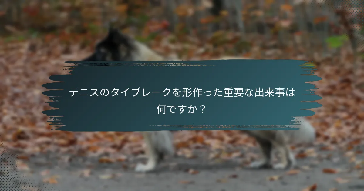 テニスのタイブレークを形作った重要な出来事は何ですか？