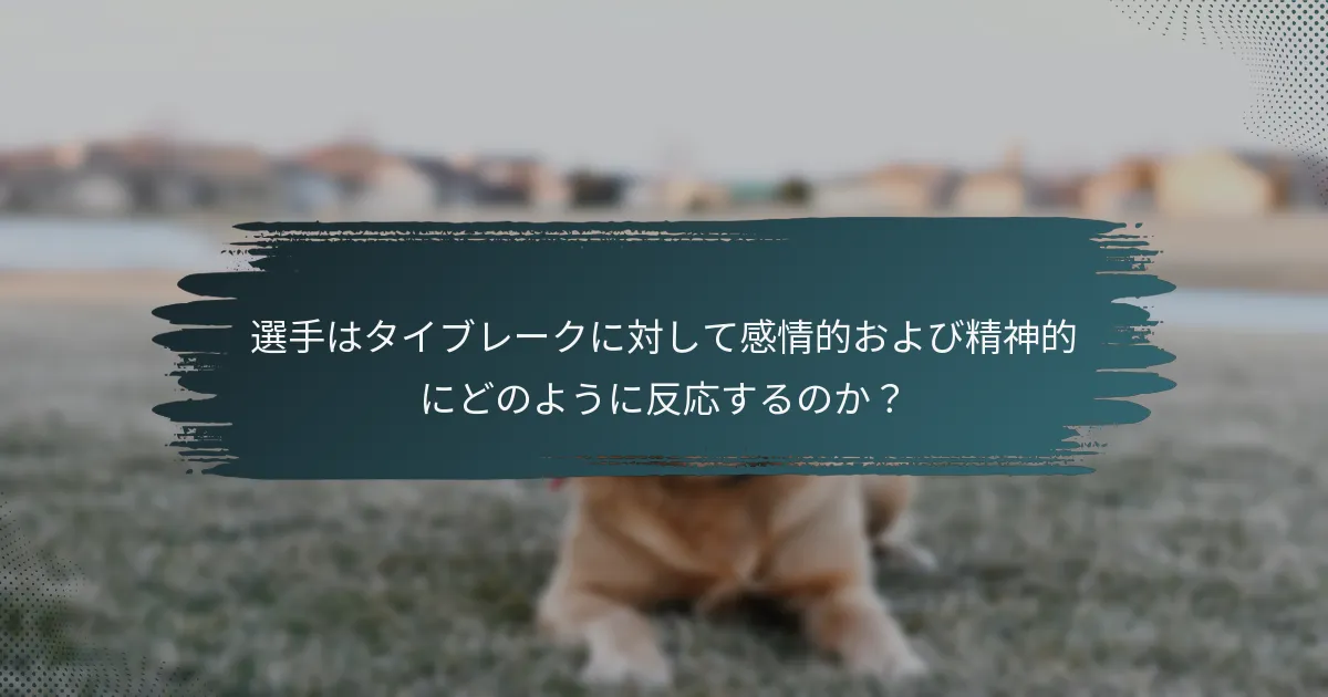選手はタイブレークに対して感情的および精神的にどのように反応するのか？